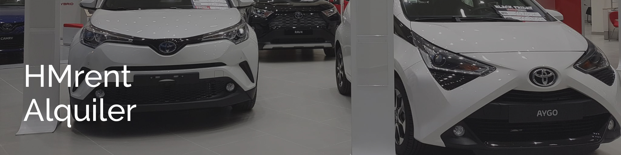 banner-alquiler